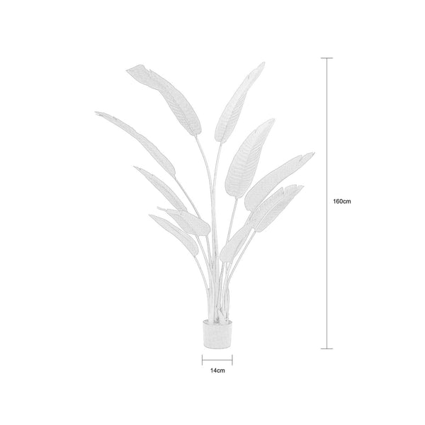 Decofurn Furniture | BIRDS_OF_PARADISE_PLANT_IN_POT-_160cm_H | Dimensions