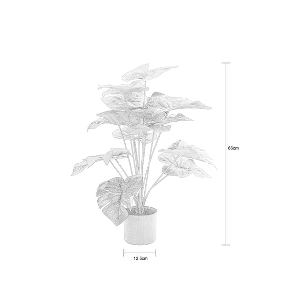 Decofurn Furniture | DELICIOUS_MONSTER_PLANT_IN_POT-_66cm_H | Dimensions