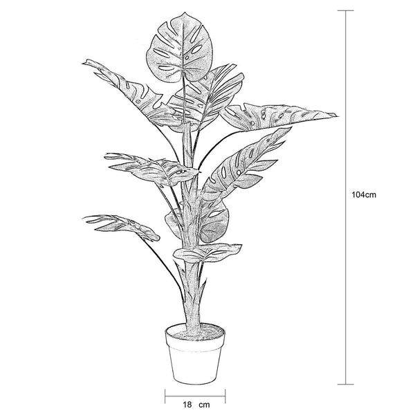 Decofurn Furniture | DELICIOUS_MONSTER_PLANT_IN_POT_-_104cm_H | Dimensions