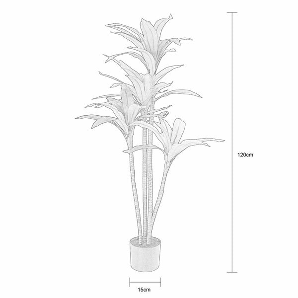 Decofurn Furniture | DRACAENA-FRAGRANS-PLANT-IN-POT---120cm_H | Dimensions