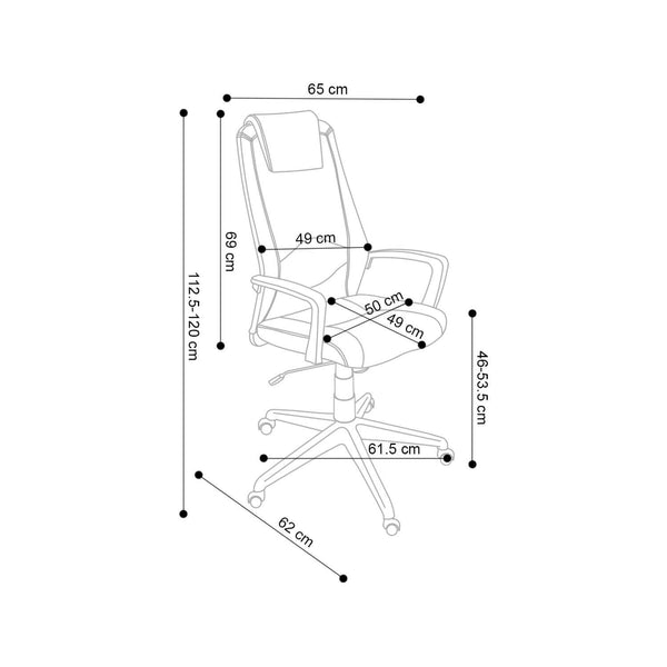 Decofurn Furniture | EXEC_HIBACK_OFFICE_CHAIR_W-156 | Dimensions