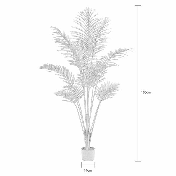 Decofurn Furniture | PALM-PLANT-IN-POT---160cm_H | Dimensions