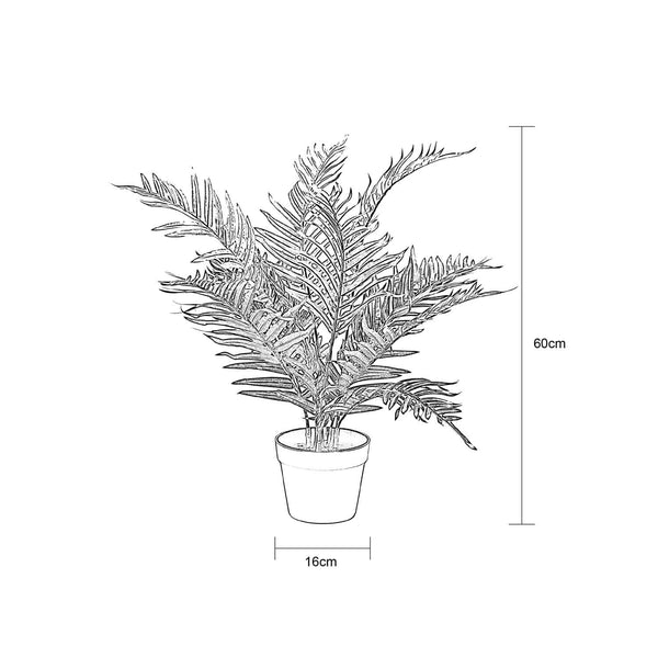 Decofurn Furniture | PALM_PLANT_IN_POT_-_60cm_H | Dimensions