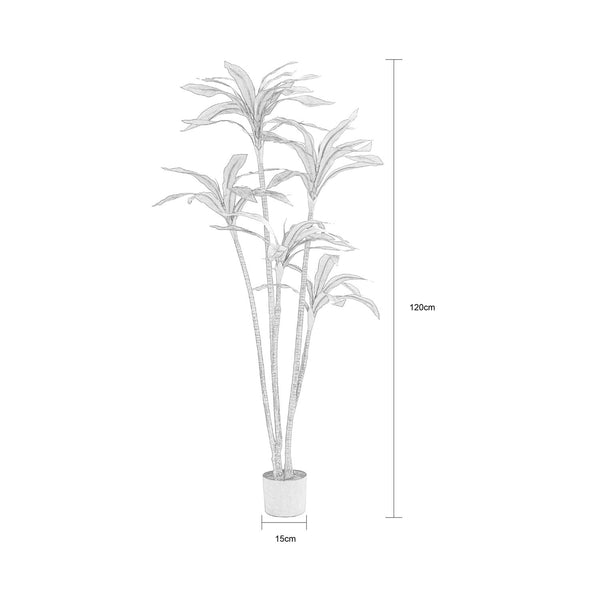 Decofurn Furniture | RED_DRACAENA_FRAGRANS_PLANT_IN_POT_-_150cm_H | Dimensions