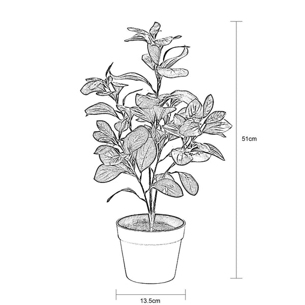 Decofurn Furniture | RUBBER_PLANT_IN_POT_-_51cm | Dimensions