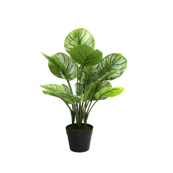 decofurn-furniture-apple-leaf-