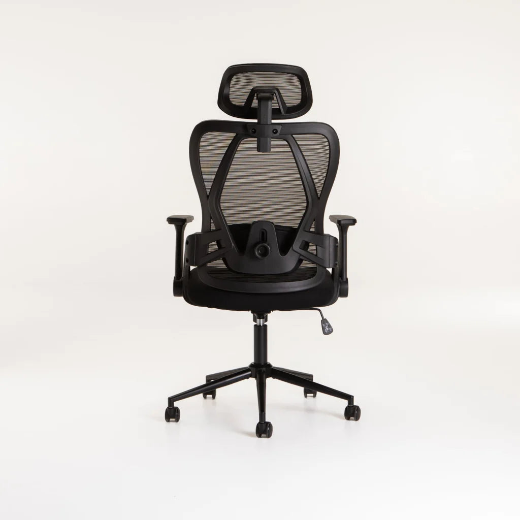 ERGONOMIC HIBACK DELUXE OFFICE CHAIR AH632-BLACK