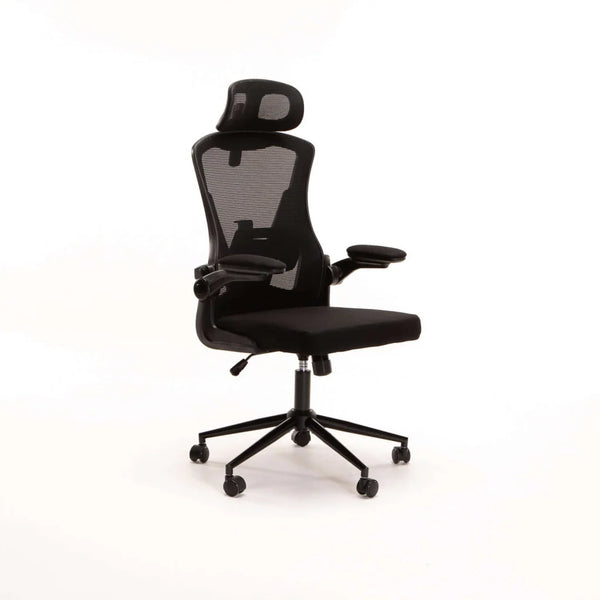 Decofurn Highback Deluxe Office Chair Ah571a with – Decofurn