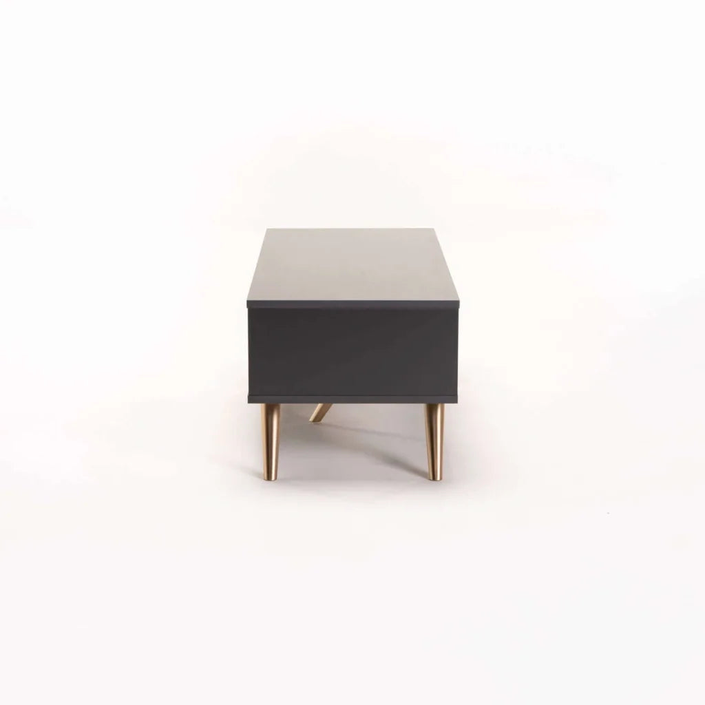LENA 100x40cm COFFEE TABLE - GREY