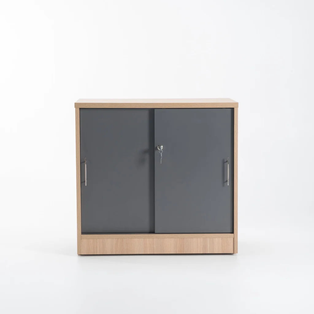 LOGO 2 DOOR CABINET - OAK/GREY