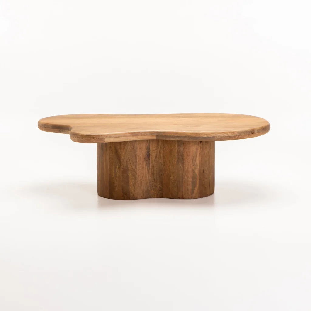 RUMI 130x70cm SOLID WOOD COFFEE TABLE