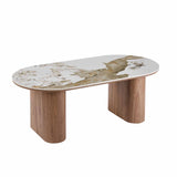 EVIE 120x60cm PANDORA STONE TOP COFFEE TABLE