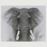 ART YF AFRICAN ELEPHANT 80X80
