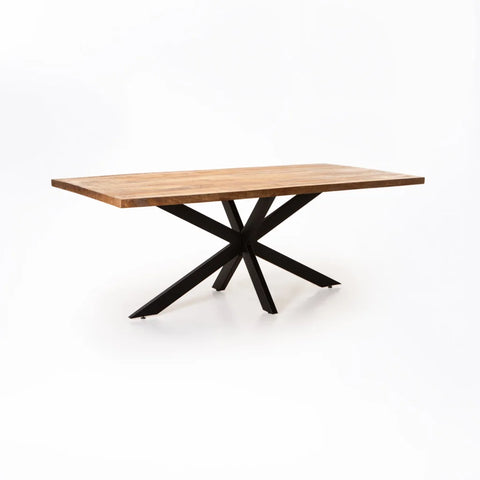 BAGA 200x100cm SOLID WOOD DT - MANGOLIA RUSTIC