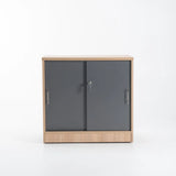 LOGO 2 DOOR CABINET - OAK/GREY