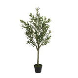 OLIVE TREE IN POT - 130cm