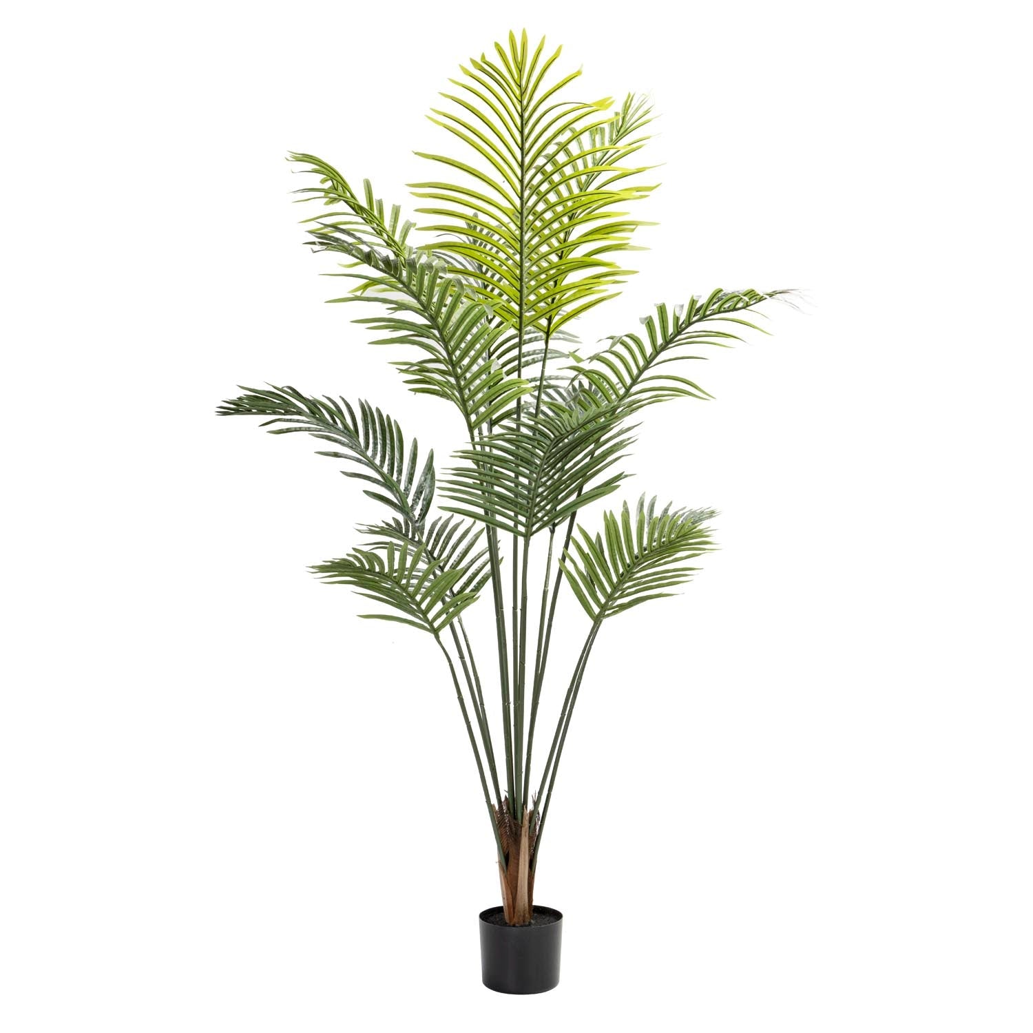PALM PLANT IN POT - 160cm