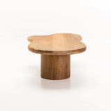 RUMI 130x70cm SOLID WOOD COFFEE TABLE