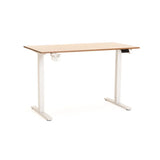 ELECTRIC ADJ SIT-STAND DESK-LIGHT WALNUT/WHITE
