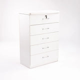 TITAN 5 DRAWER CHEST - WHITE